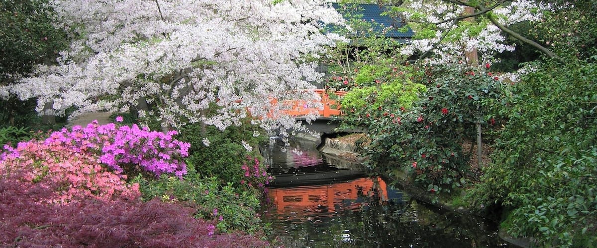 Japanese Garden--Descanso Gardens; outside of Los Angeles, California