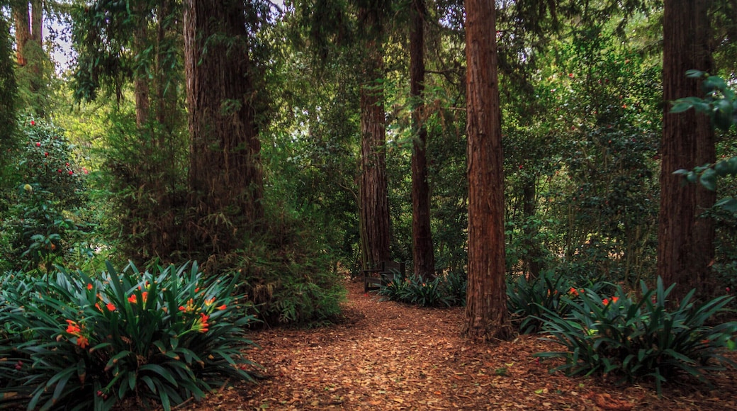 A wonderful botanical garden in the heart of Pasadena. Spring time is a favorite as the tulips are in full bloom.