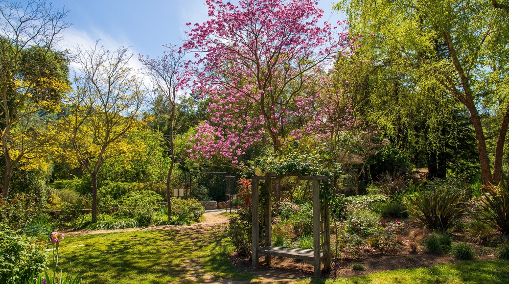 ลาแคนาดา ฟลินต์ฟริดจ์