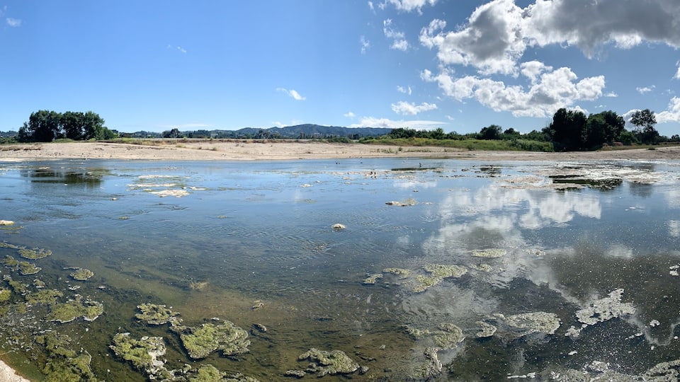 A river with clear water, sandy banks, and a bridge in the distance.