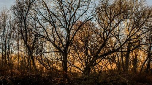 Sunrise over the Cuyahoga River. #BVSExplore