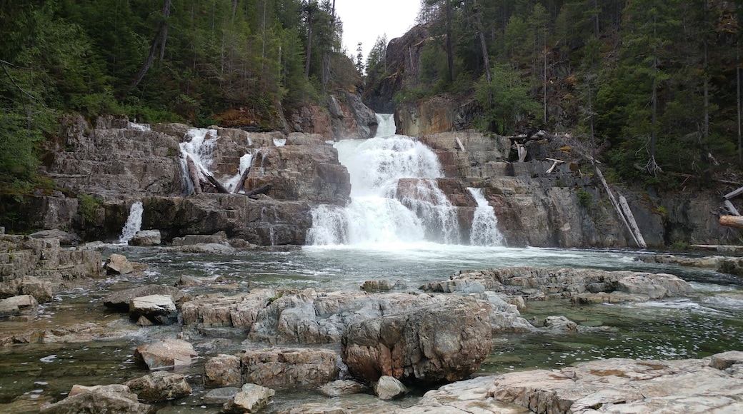 Strathcona Provincial Park is British Columbia's oldest park designated in 1911 and located at almost the exact centre of Vancouver Island. The park is approximately 250,000 hectares of rugged mountains, lakes and rivers, trails for all skill levels, waterfalls, campgrounds, and more importantly off the grid so no wifi. From the campground, it is about a 90 minute drive into the park with narrow twisty roads and pitch black at night so use caution when driving at night. The wildlife often found in this park are cougars, wolves, bears, fox, and birds of many species. Snow remains on the mountains year round and is a popular spot for fishing. With a history dating back 380 million years, it has a history of violent volcanic eruptions. Buttle Lake and Forbidden Plateau inside the park offer a variety of visitor friendly developments, but the rest of the park remains untouched for those who are seeking a more wild and natural experience. Worth the trip.