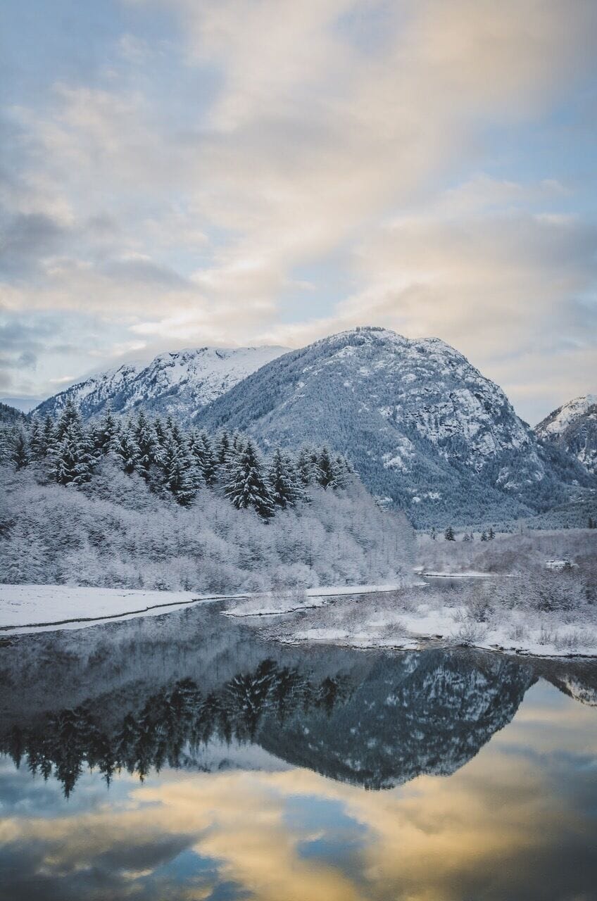 Christmas morning reflections. 

#BVSWater
#reflections
#canada
#vancouverisland
