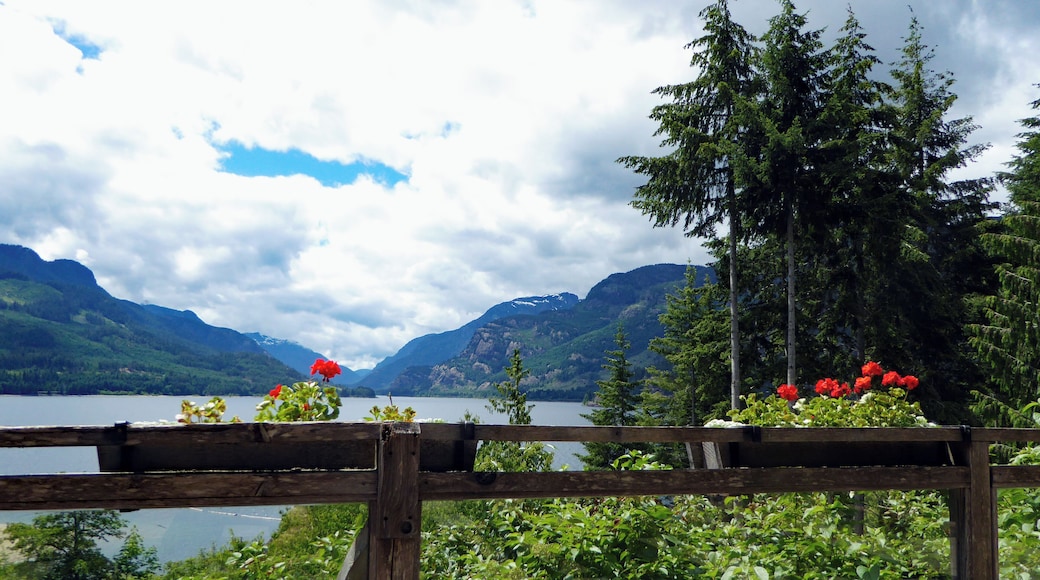 A view across Upper Campbell Lake from Strathcona Provincial Park Lodge. The Lodge is the only building of significance in the wilderness of the oldest Provincial Park in British Columbia covering 486,500 square miles. It serves as a hotel but in the main is an outdoor recreation centre catering for children across a wide range of outdoor education & wilderness skills training. #GreatOutdoors