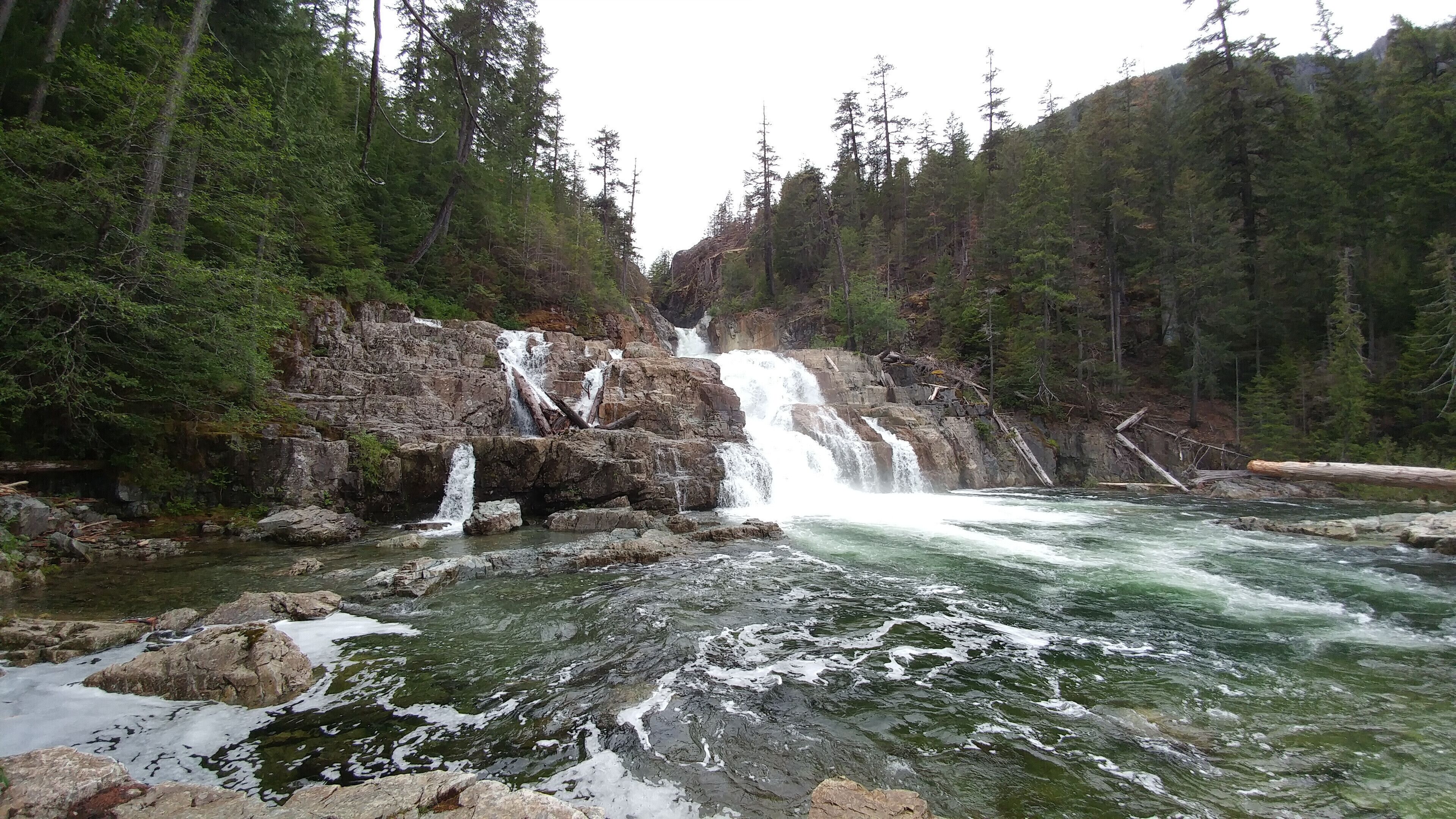 Strathcona Provincial Park is British Columbia's oldest park designated in 1911 and located at almost the exact centre of Vancouver Island. The park is approximately 250,000 hectares of rugged mountains, lakes and rivers, trails for all skill levels, waterfalls, campgrounds, and more importantly off the grid so no wifi. From the campground, it is about a 90 minute drive into the park with narrow twisty roads and pitch black at night so use caution when driving at night. The wildlife often found in this park are cougars, wolves, bears, fox, and birds of many species. Snow remains on the mountains year round and is a popular spot for fishing. With a history dating back 380 million years, it has a history of violent volcanic eruptions. Buttle Lake and Forbidden Plateau inside the park offer a variety of visitor friendly developments, but the rest of the park remains untouched for those who are seeking a more wild and natural experience. Worth the trip.