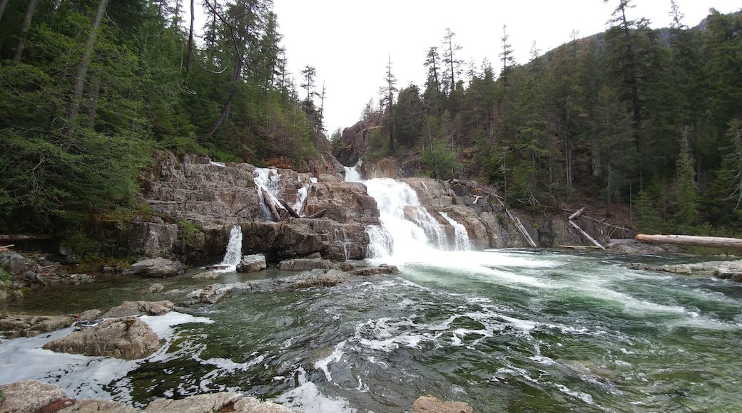 Strathcona Provincial Park is British Columbia's oldest park designated in 1911 and located at almost the exact centre of Vancouver Island. The park is approximately 250,000 hectares of rugged mountains, lakes and rivers, trails for all skill levels, waterfalls, campgrounds, and more importantly off the grid so no wifi. From the campground, it is about a 90 minute drive into the park with narrow twisty roads and pitch black at night so use caution when driving at night. The wildlife often found in this park are cougars, wolves, bears, fox, and birds of many species. Snow remains on the mountains year round and is a popular spot for fishing. With a history dating back 380 million years, it has a history of violent volcanic eruptions. Buttle Lake and Forbidden Plateau inside the park offer a variety of visitor friendly developments, but the rest of the park remains untouched for those who are seeking a more wild and natural experience. Worth the trip.