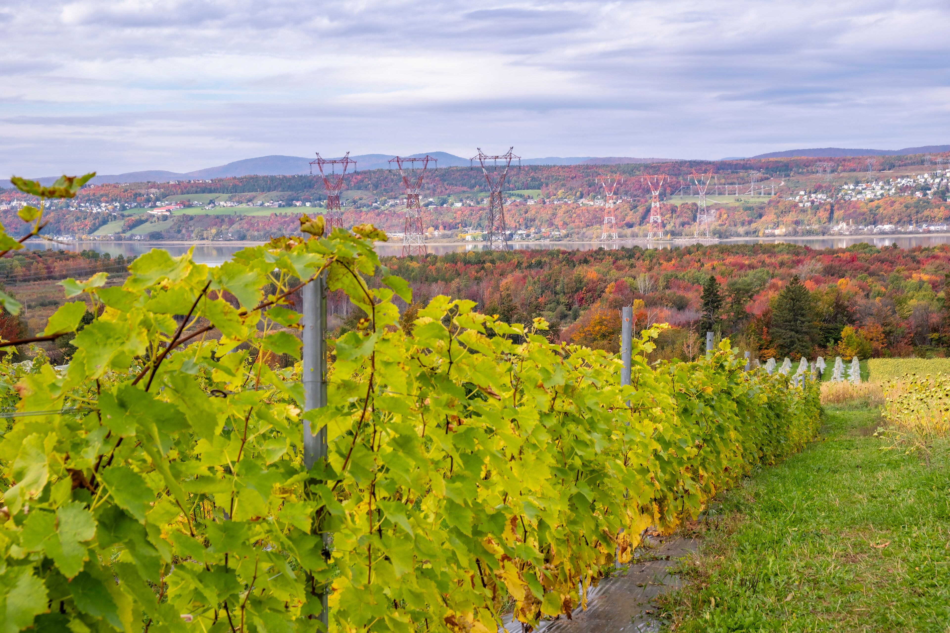Saint-Jean-de-l'Île-d'Orléans