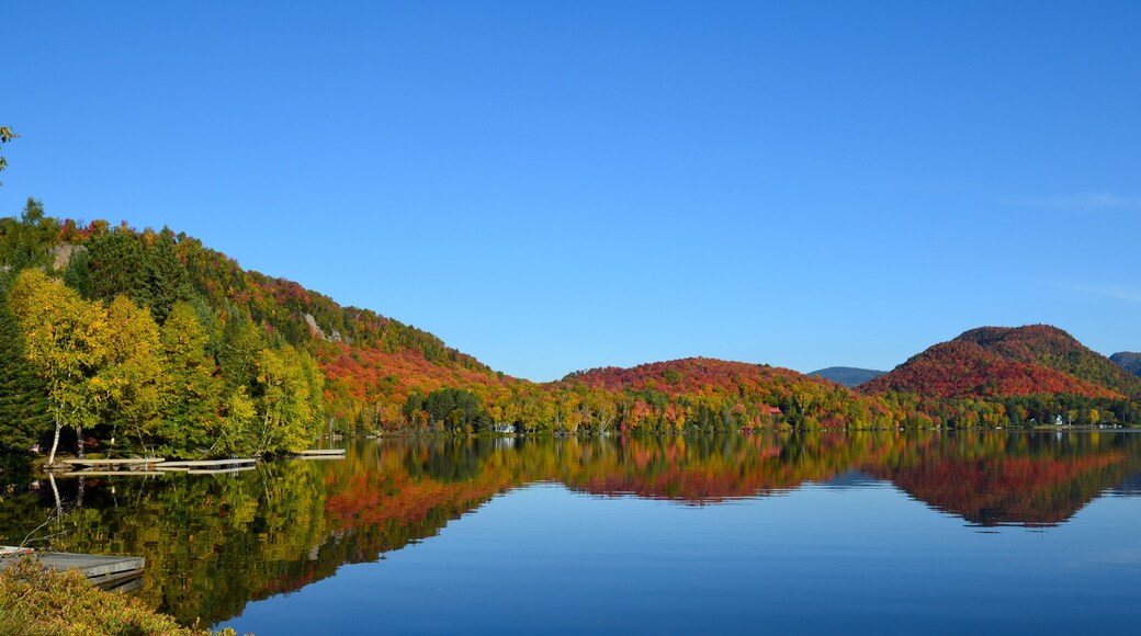 Classic Canadian lake view in fall colors