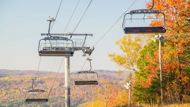Saint-Sauveur, Canada - Oct. 5 2025: The beautiful panoramic autumn view from top of Saint-Sauveur mountain in Quebec Canada