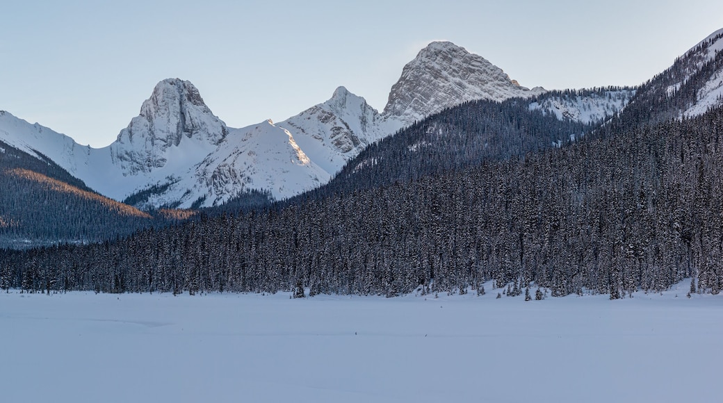 Sunset in the mountains of Spray Valley Provincial park in Kananaskis, Alberta, Canada
