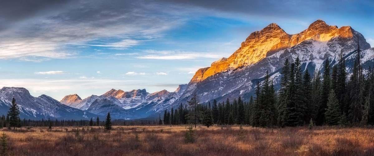 A mountain range with snow-capped peaks and a forested foreground.