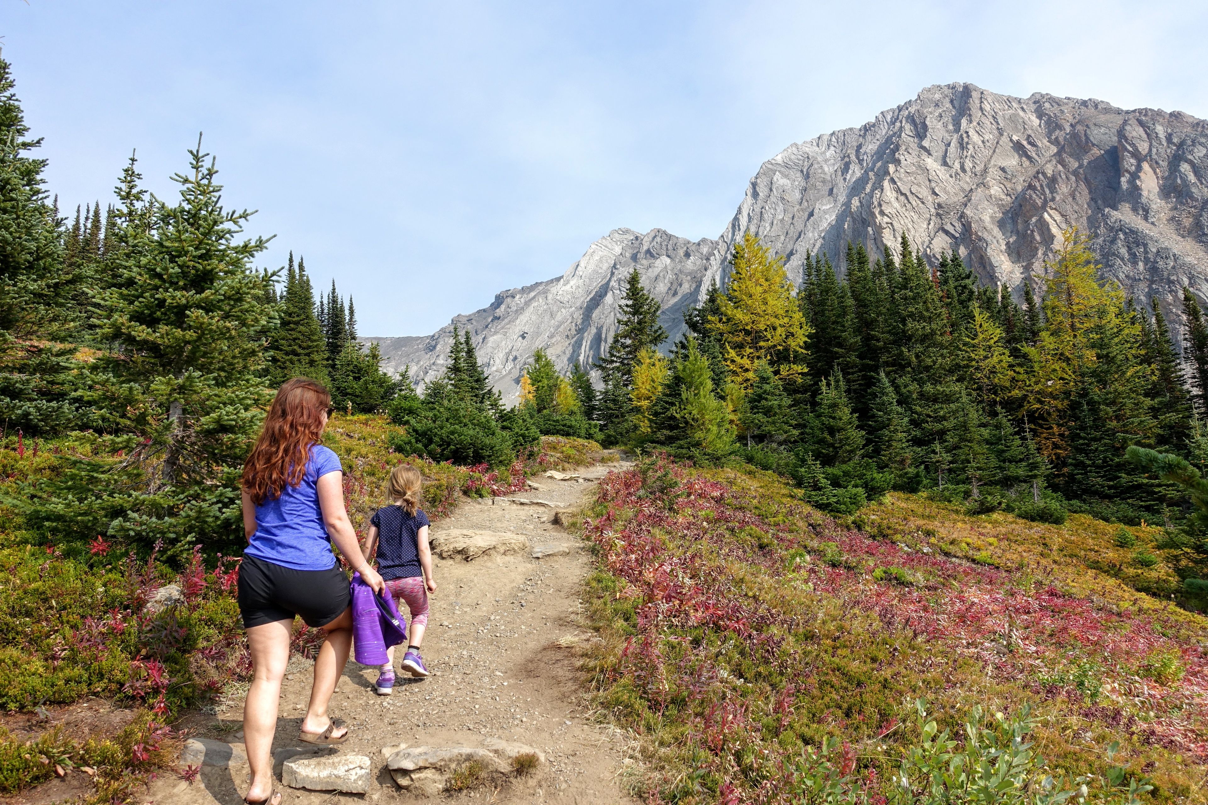 Un sendero para excursionismo con montañas al fondo.