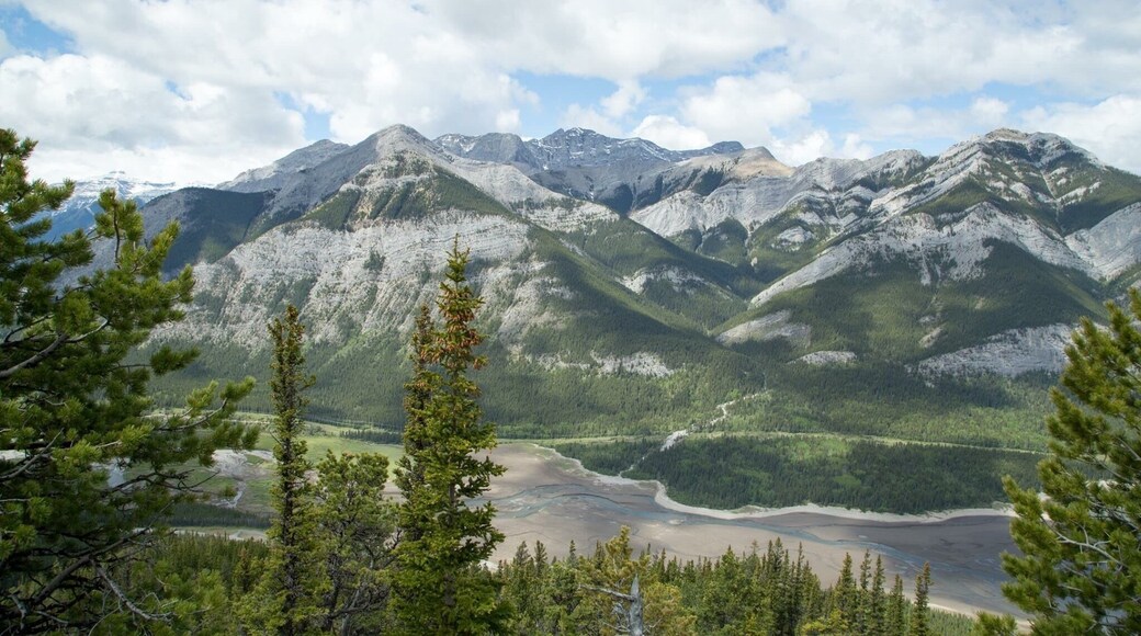 Absolutely love this place so many views and so many places to go just watch out for those bears 😂 looking forward to take by my family to this place.