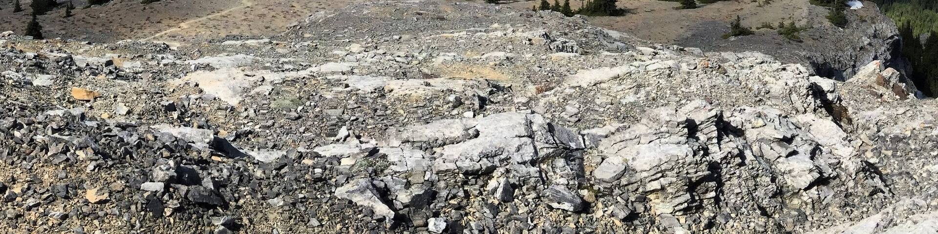 What a great morning scramble! Less than 4 hours round trip, you can scramble to the summit of Mount Baldy in Kananaskis and witness spectacular views! #scrambles #MountBaldy #Kananaskis #Alberta #hiking
