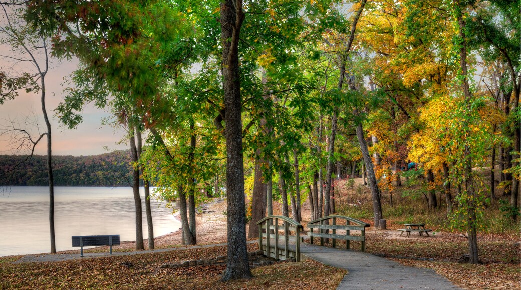 The picnic area at the Lake of the Ozarks State Park on a fall afternoon with trees in peak foliage.