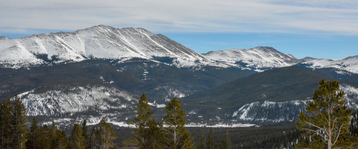 Snow-covered mountains with a forested foreground.