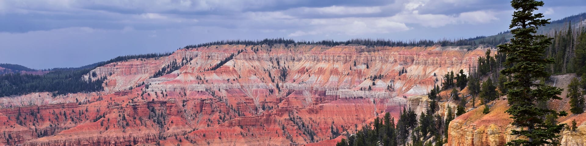 Cedar Breaks National Monument views from hiking trail near Brian head and Cedar City, Utah. United States. USA