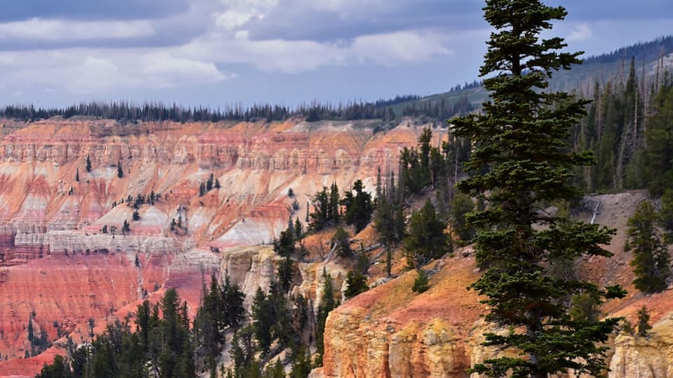A red rock canyon with a forested mountain.