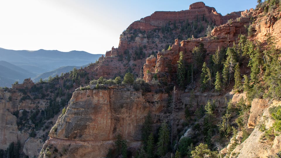 A canyon with steep cliffs and sparse vegetation.