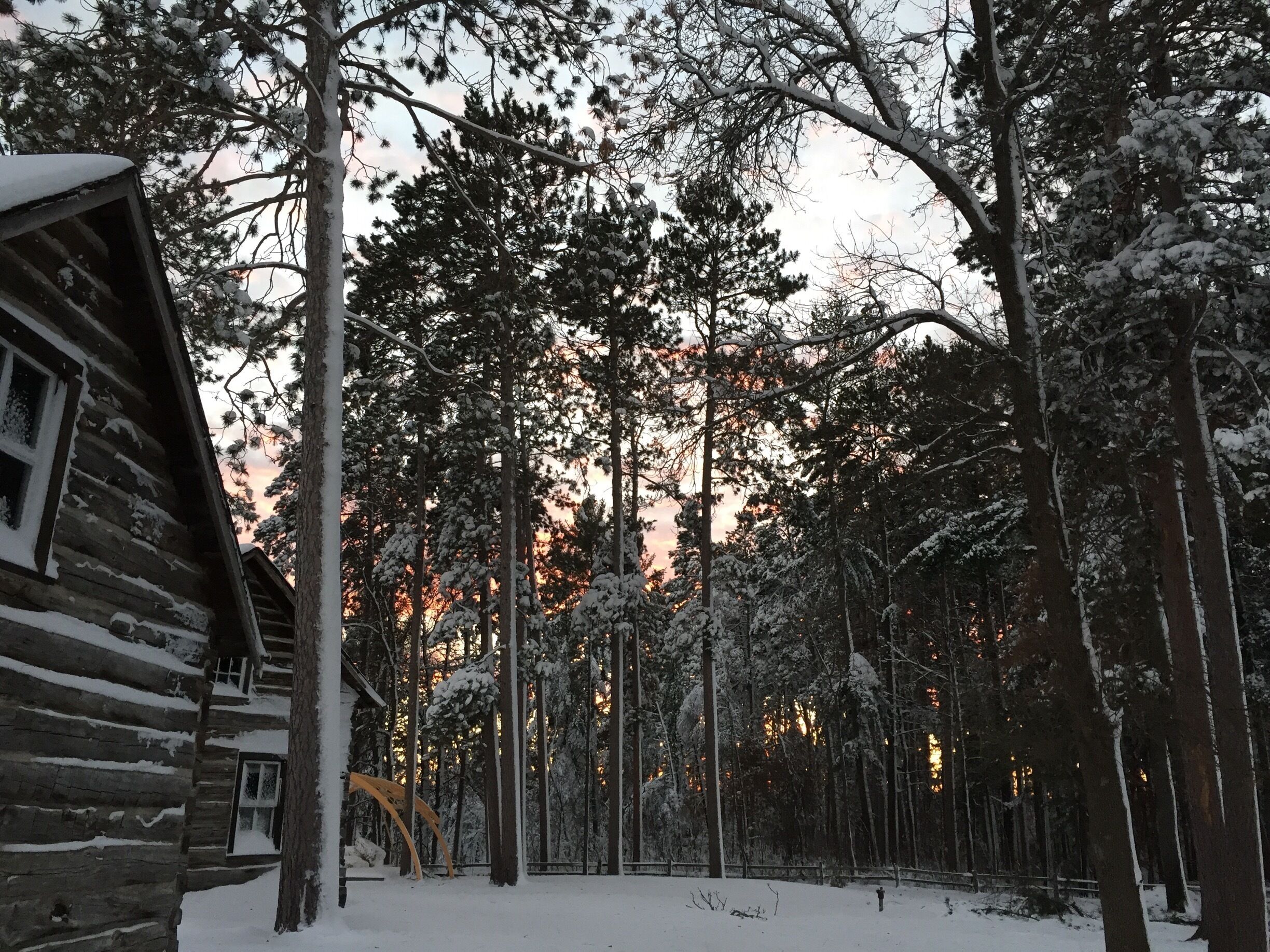Pioneer Village! A great place to learn about a small town's Scandinavian decent, take part in its wonderful events and the local community! 