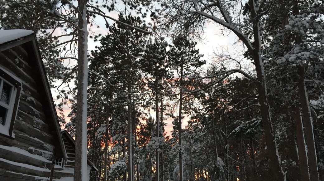 Pioneer Village! A great place to learn about a small town's Scandinavian decent, take part in its wonderful events and the local community!