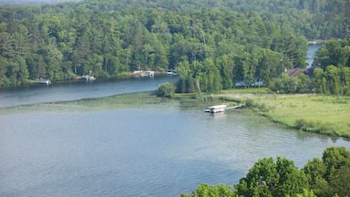 Aerial view of lakeshore with docks and boats in Minnesota