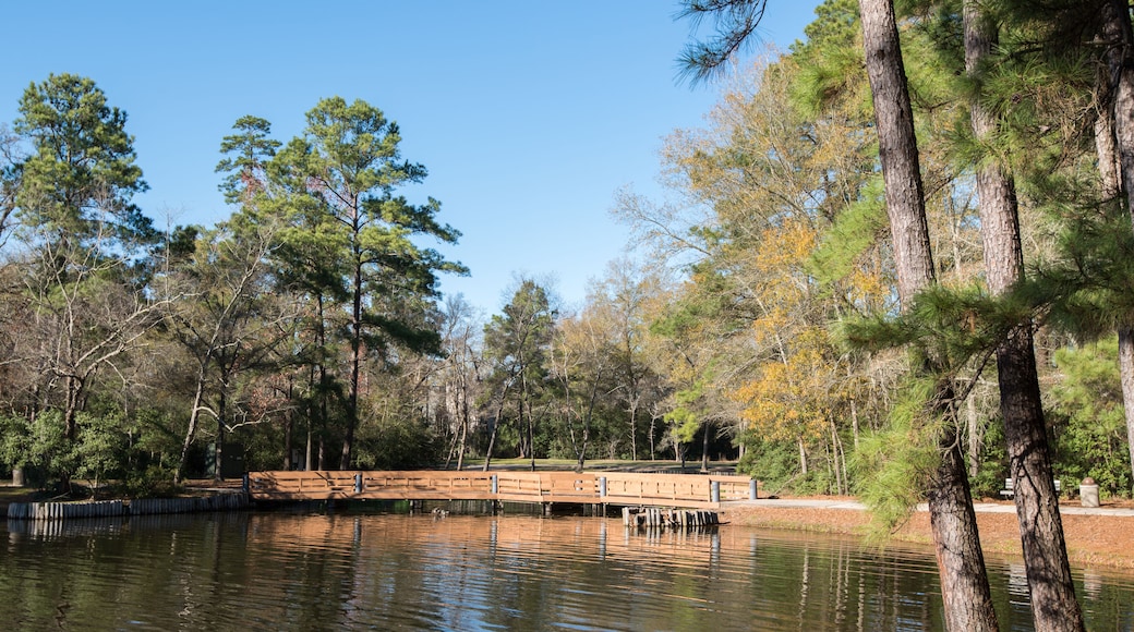 A calm lake with a wooden bridge, surrounded by trees and a clear blue sky.