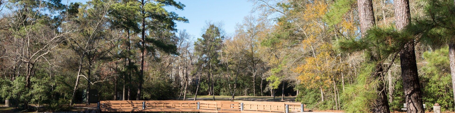 Un lago tranquilo con un puente de madera, rodeado de árboles y un cielo azul despejado.