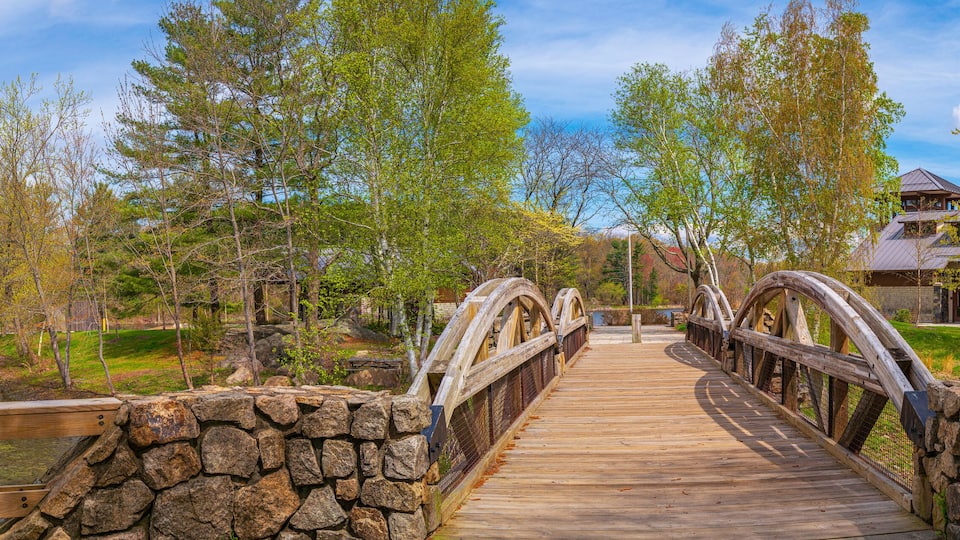A wooden bridge with stone walls, surrounded by trees and a body of water.