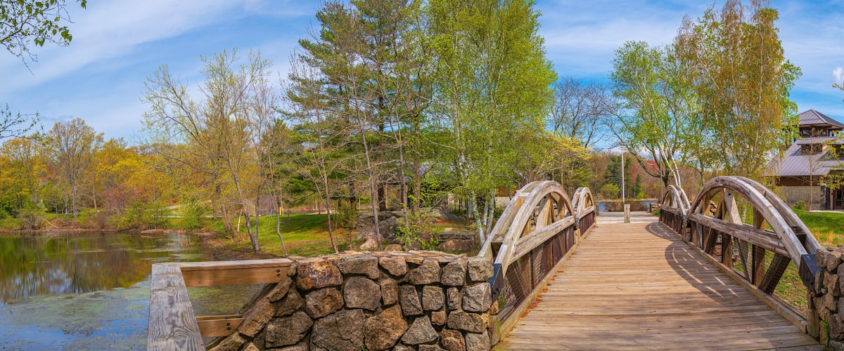A wooden bridge with stone walls, surrounded by trees and a body of water.