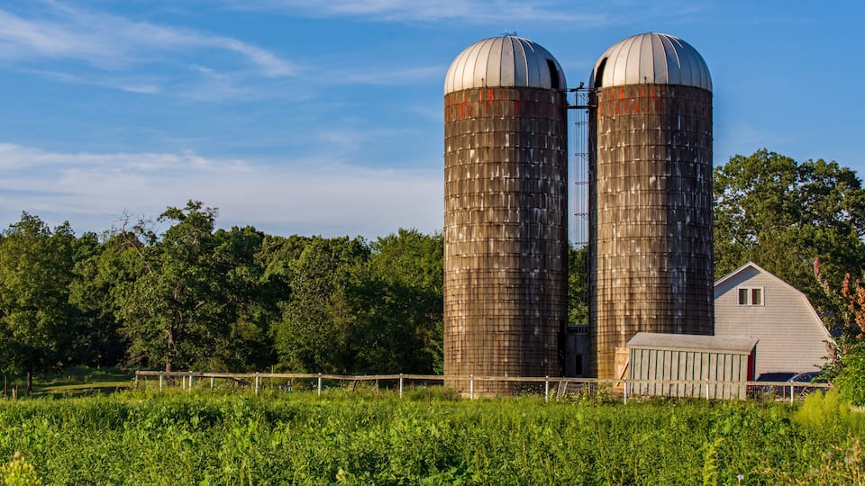 Two large grain silos, a wooden fence, and a small house in a rural field.