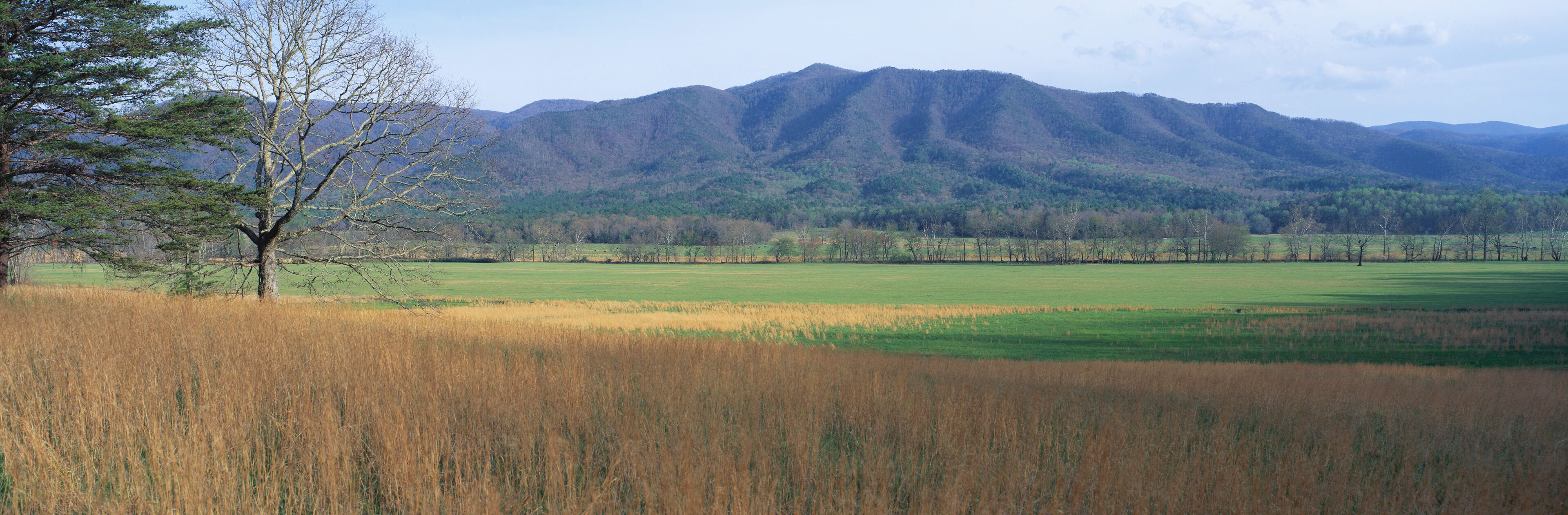 This is Cades Cove Pioneer settlement in the spring. The mountains of the Smokies are in the background.