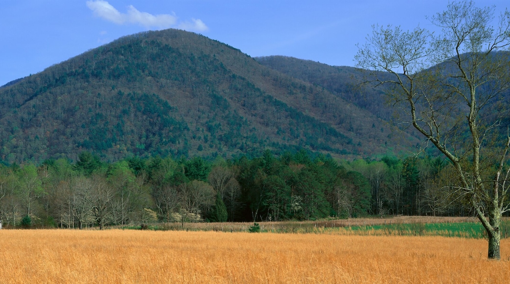 Cades Cove Pioneer Settlement, Great Smokey National Park, Tennessee