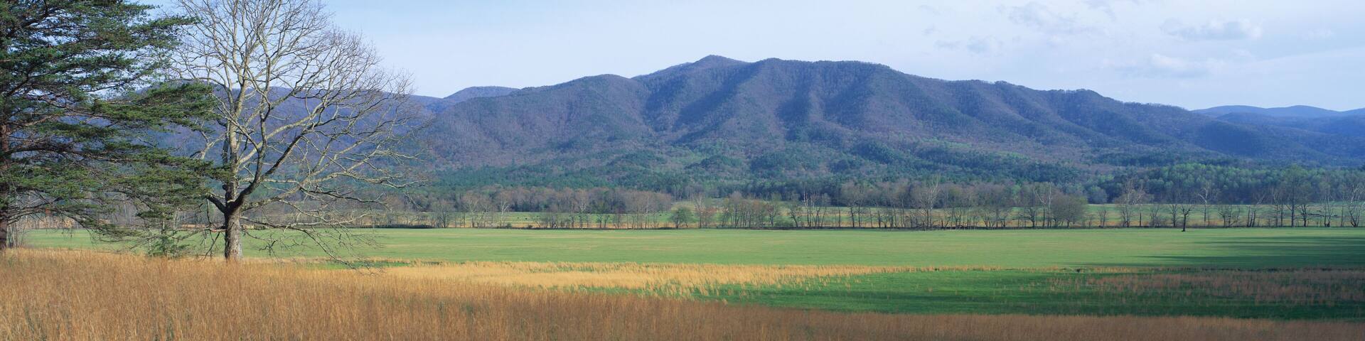 This is Cades Cove Pioneer settlement in the spring. The mountains of the Smokies are in the background.