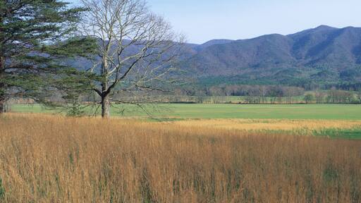 This is Cades Cove Pioneer settlement in the spring. The mountains of the Smokies are in the background.