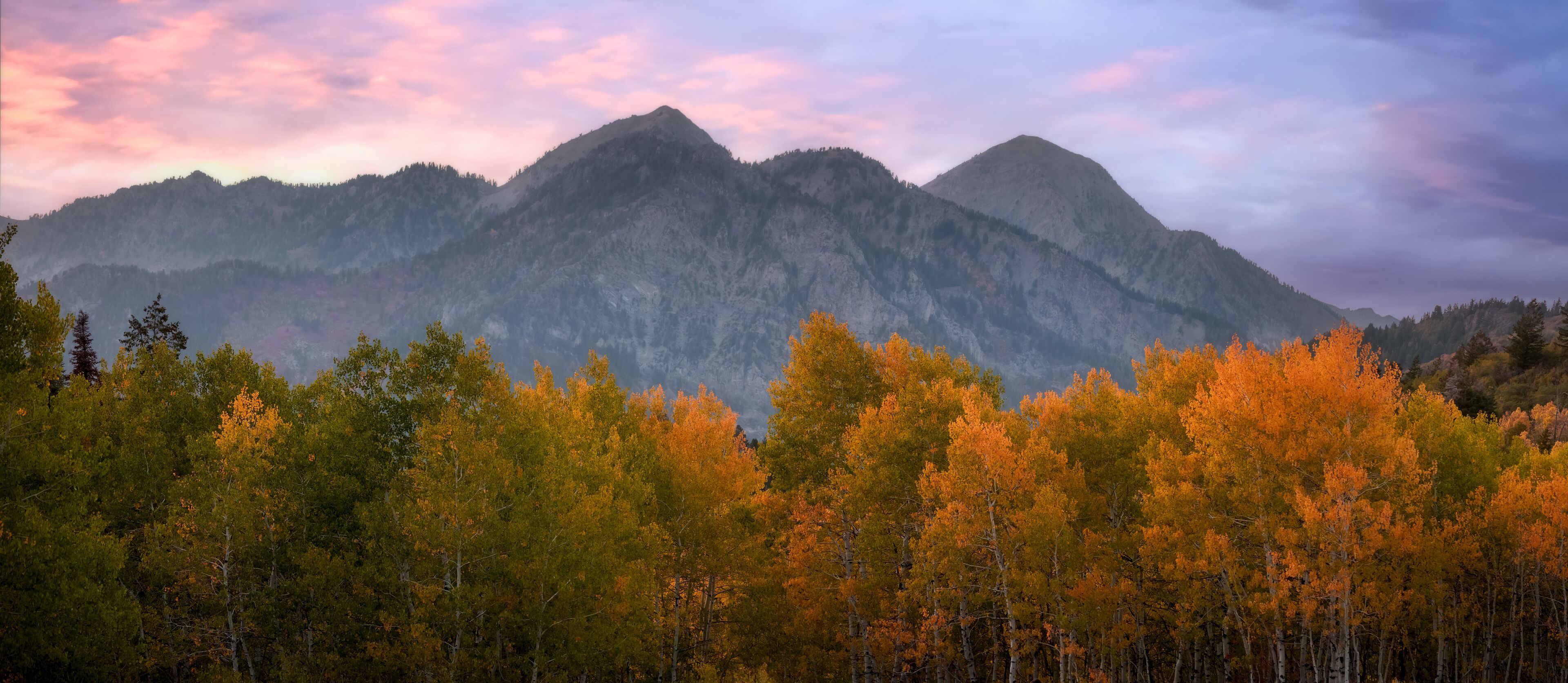 Panoramic view of fall foliage at Mount Timpanogos in Utah under twilight.