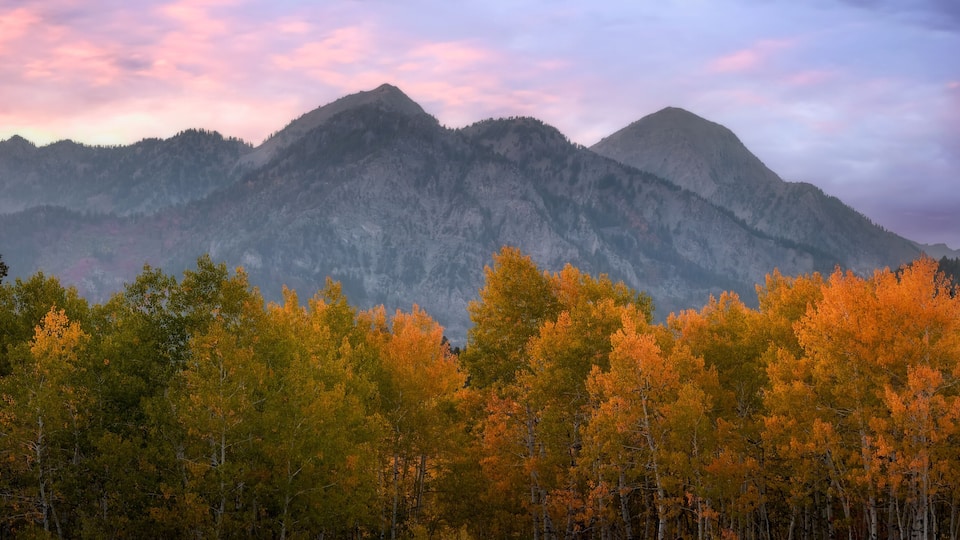 A mountain range with autumn foliage in the foreground.