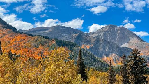 Panoramic view of brilliant fall foliage on Timpanogos mountain range in Utah