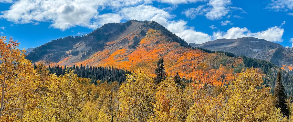 Panoramic view of brilliant fall foliage on Timpanogos mountain range in Utah