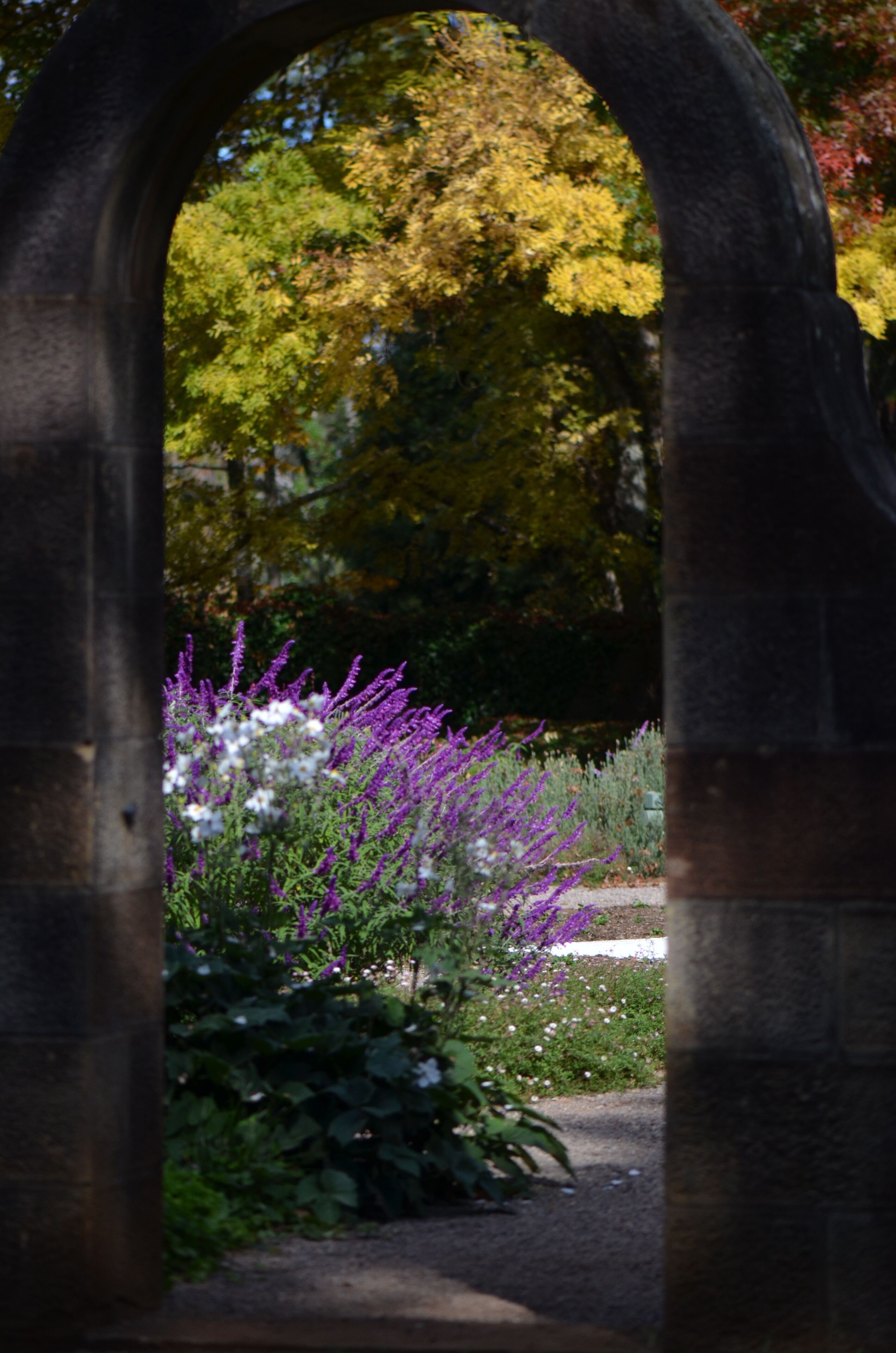 Flower through the Stone Gate