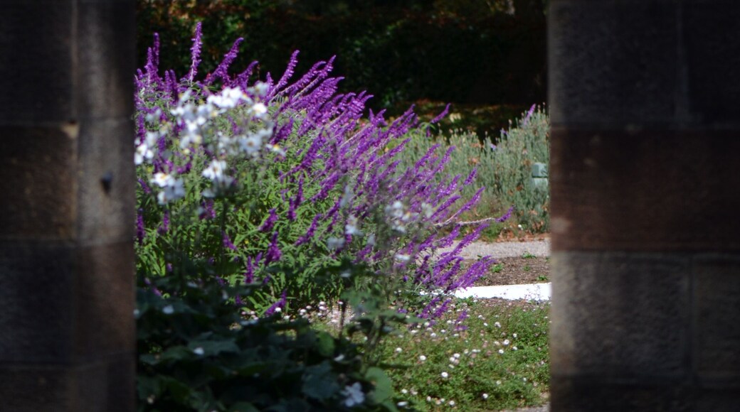 Flower through the Stone Gate