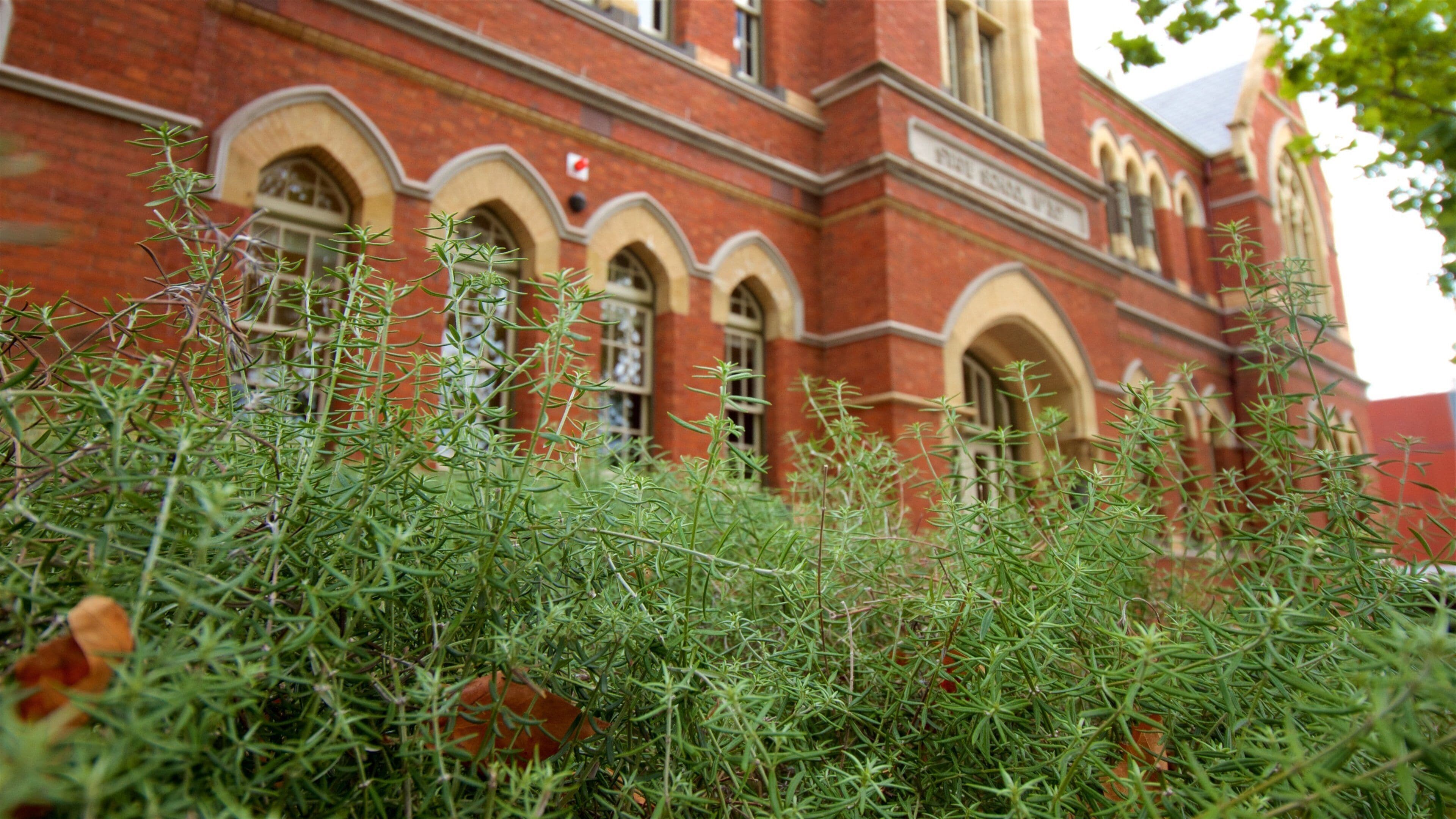 North Melbourne featuring heritage elements