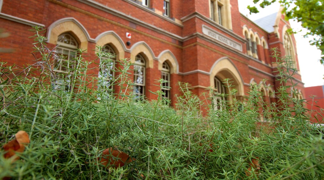 North Melbourne featuring heritage elements