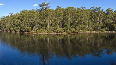 View of Big Brook Dam at Pemberton, Western Australia, Australia