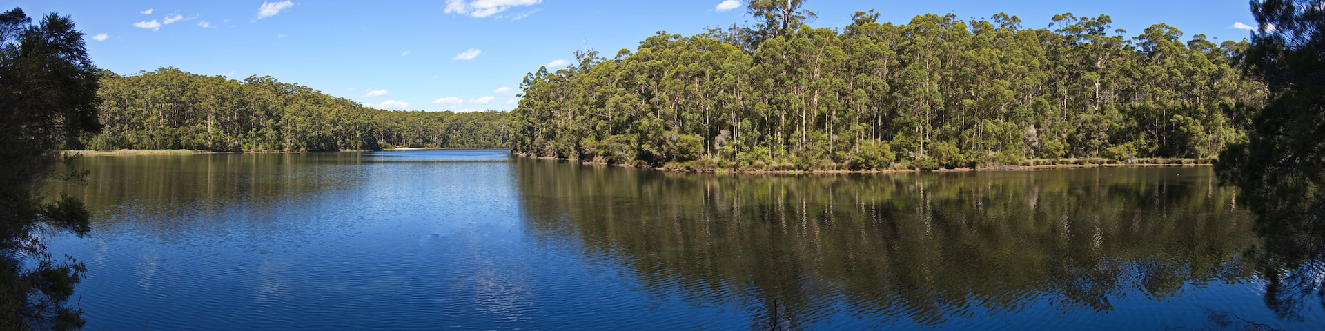 View of Big Brook Dam at Pemberton, Western Australia, Australia