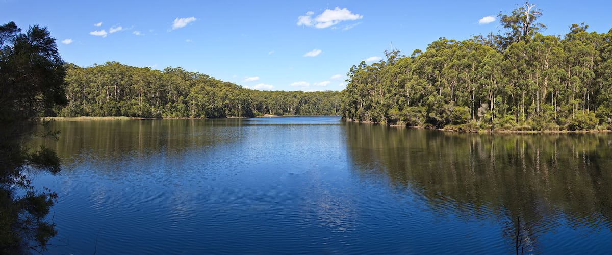 A calm lake surrounded by dense forest and a clear blue sky.