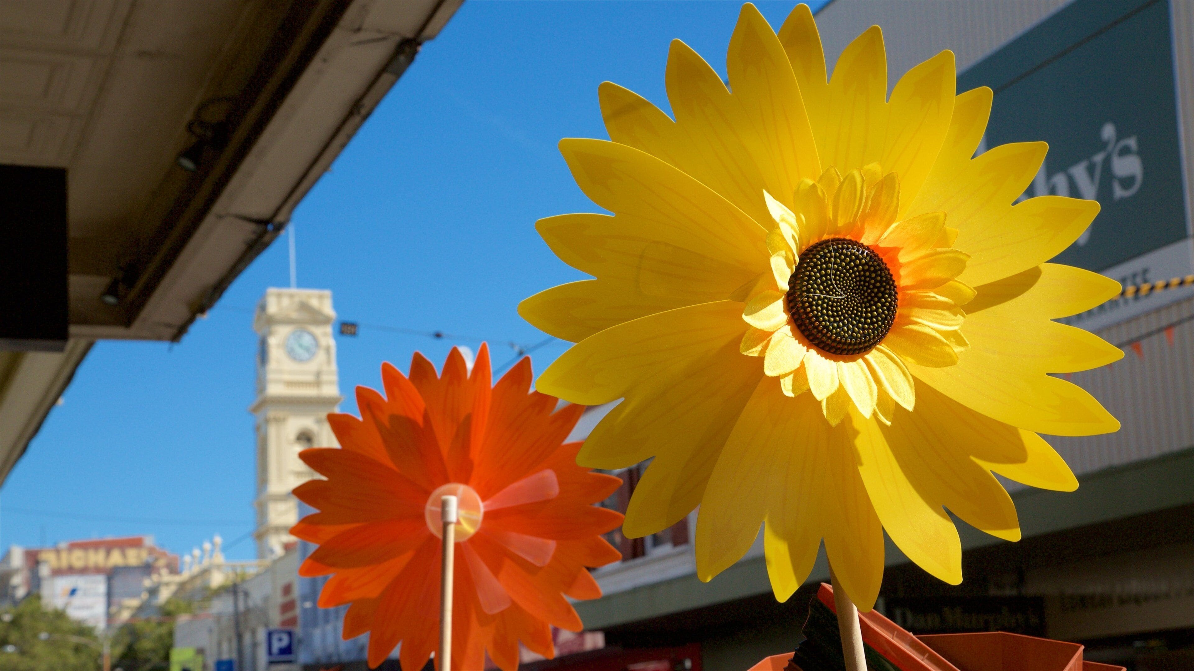 Duas flores artificiais grandes, uma amarela e outra laranja, em ambiente urbano com um campanário e edifícios ao fundo.