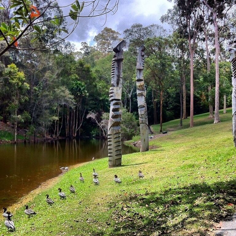 #totempoles #ducks #lake #brisbane