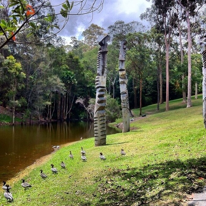 #totempoles #ducks #lake #brisbane