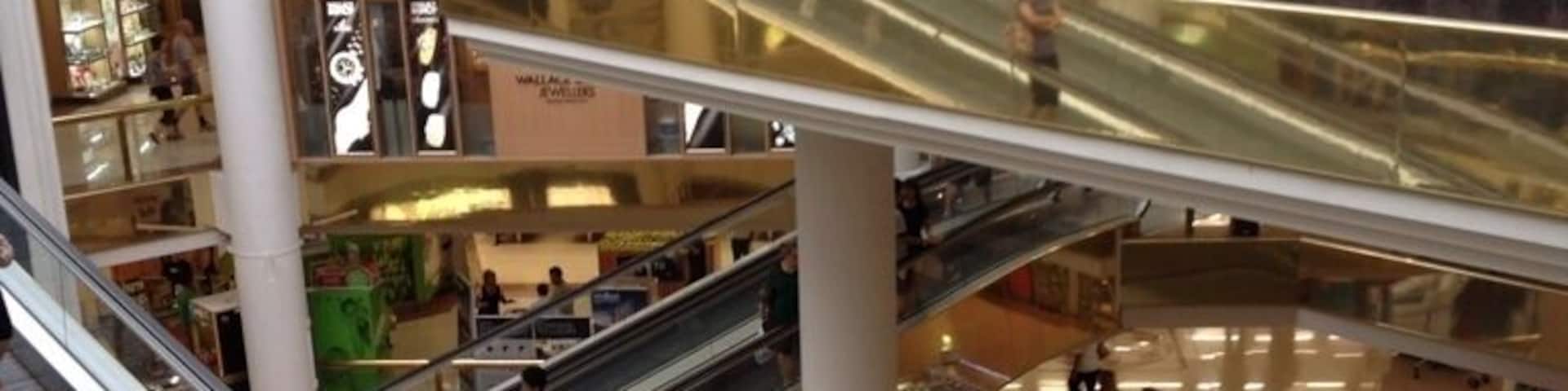 Travelators carrying folks from one level to the next to the next. Lol. Travelators, ha ha ha. Such a funny name. Pretty cool that you can push a trolley (grocery cart or basket) on one and it will stay put until its time to get off at the end.